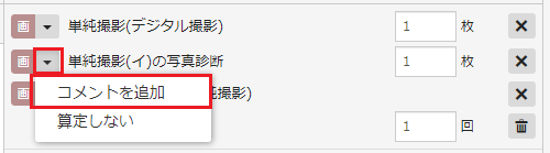 単純撮影の入力例